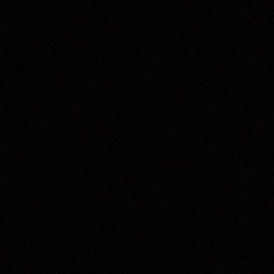 Meet your Posher, Lila